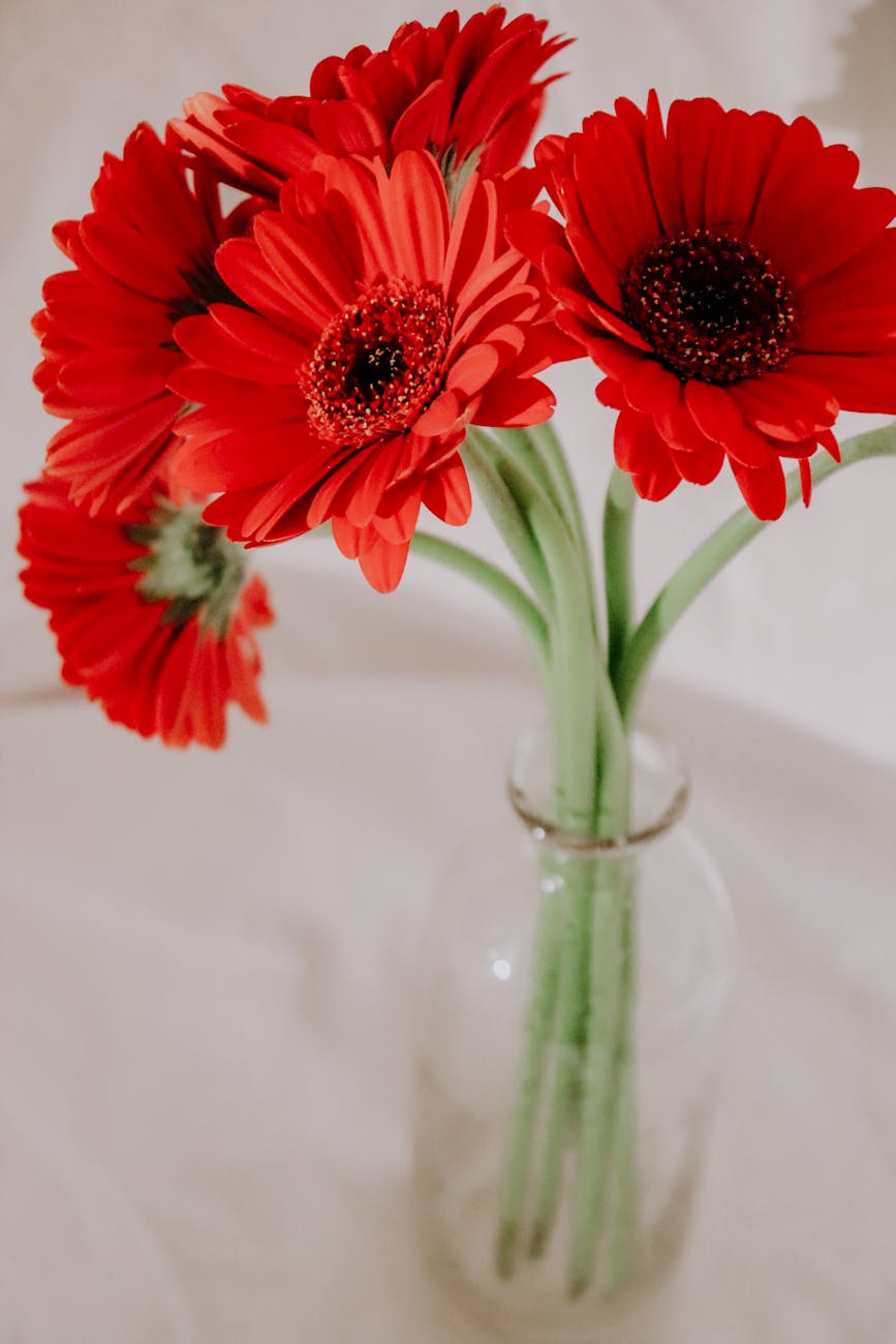 The Story Of Love That Comes With An Expiration Date: Drawing Closer