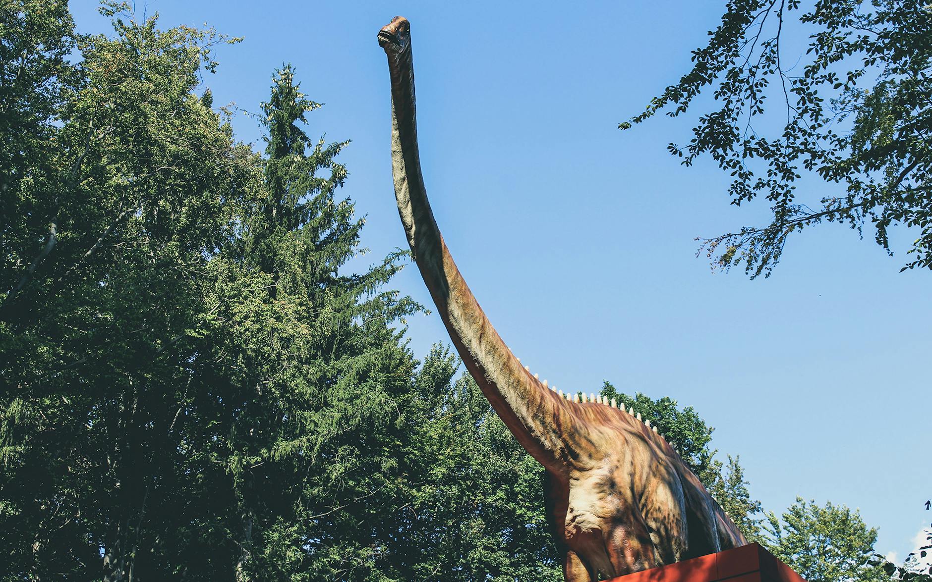 Jurassic World Rebirth: Cast, Release Date, and Trailer Review