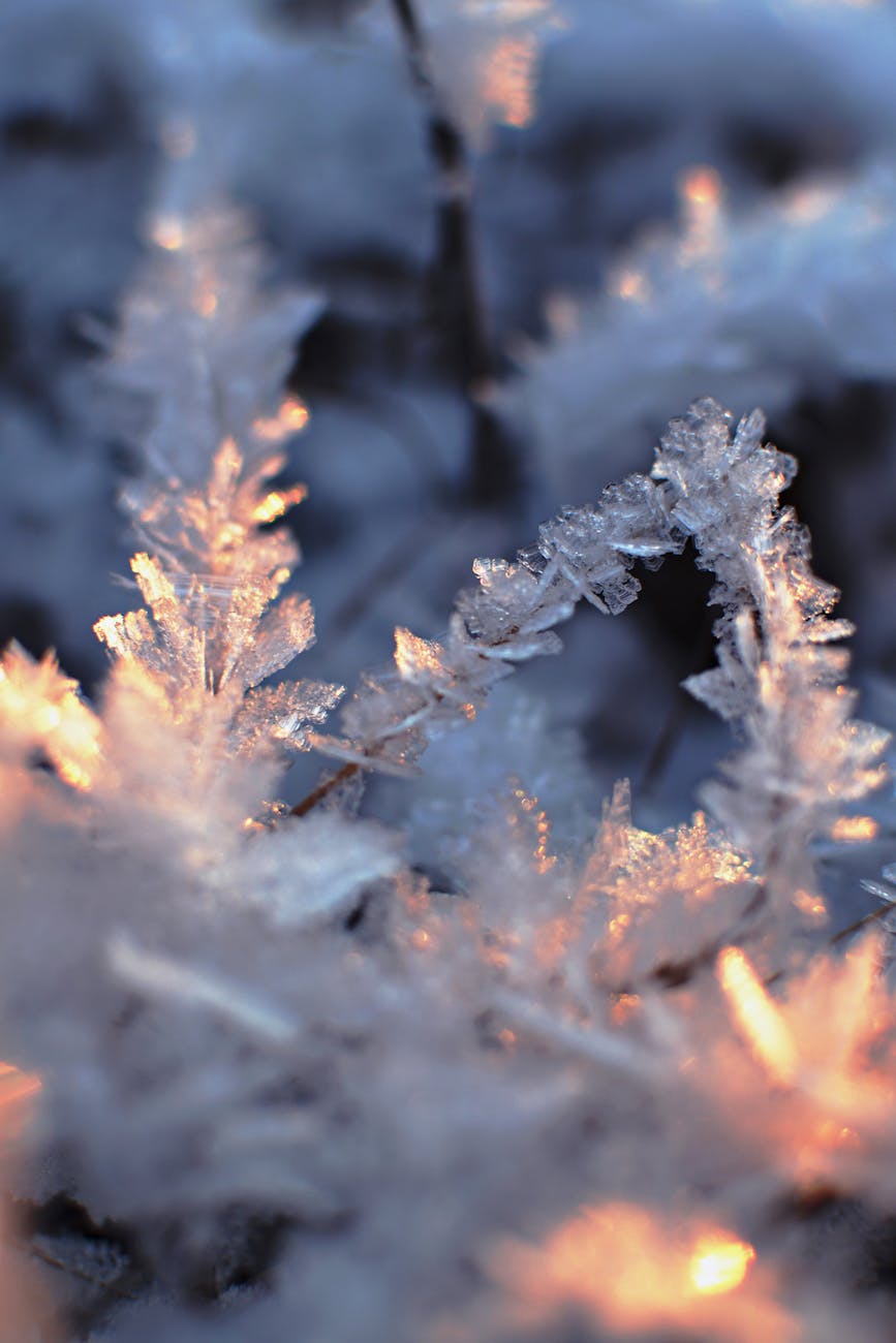 Meet the Cast of The First Frost: Everything You Need to Know